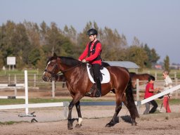 2014 Halloweenstævne